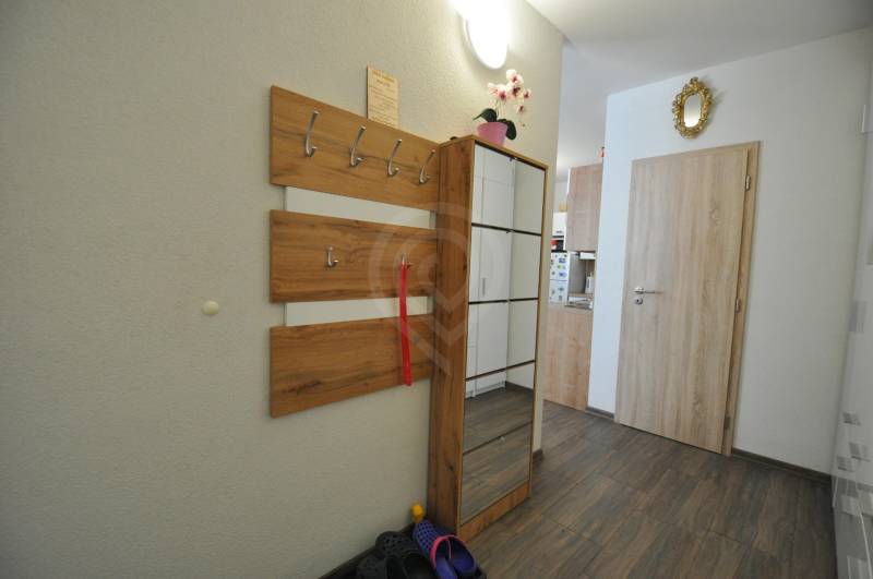 Entrance hallway in a 2-room apartment with a coat rack and flooring with a wooden decor.