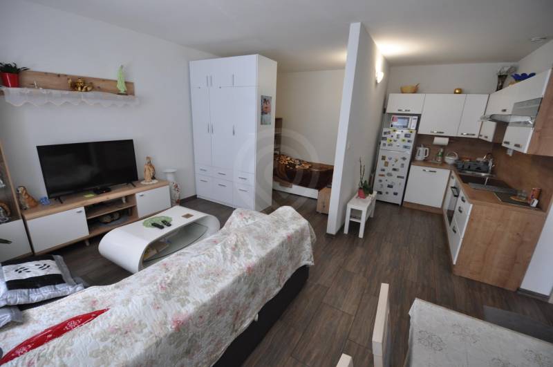 Living room in a two-room apartment with a kitchenette and a television, wooden decor flooring.