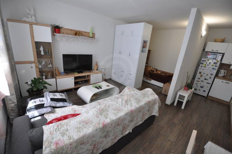 A living room of a two-room apartment with a wooden decor floor, a sofa, and a television.