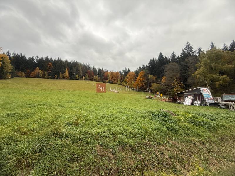 Green meadow surrounded by forests on the property - commercial on Čertov street, Lazy pod Makytou.