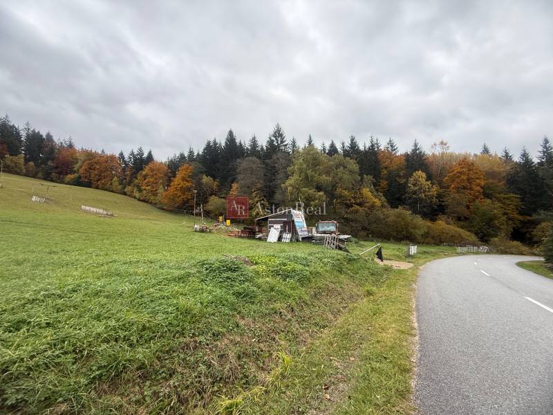 A path leading by forests and meadows in the area of Commercial Land in Čertov, Lazy pod Makytou.