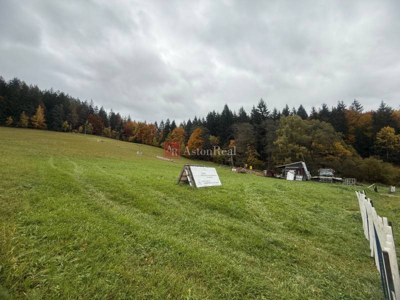 Greenery and forest background in Lazy pod Makytou, Čertov, on commercial land.