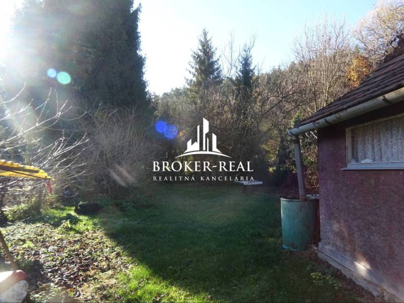 A garden at a family house in Telkibanya, surrounded by trees and lawn.