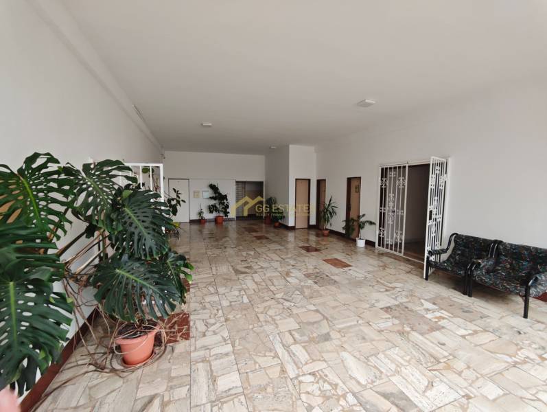 A spacious office with plants, a sofa, and a stone floor in an elegant design.