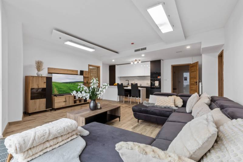 Living area in a 3-room apartment with a kitchen, wooden decor flooring, and a comfortable sofa.