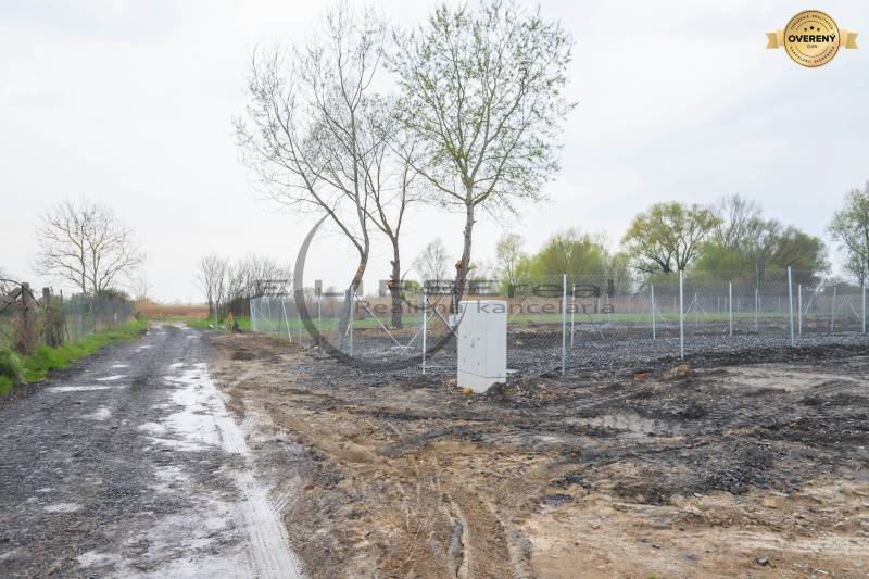Forest road near residential plots on Nad potokom Street in Zohor.