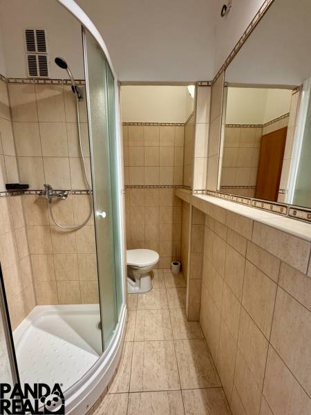 A bathroom in a studio apartment with a curved shower, includes a mirror and a toilet.