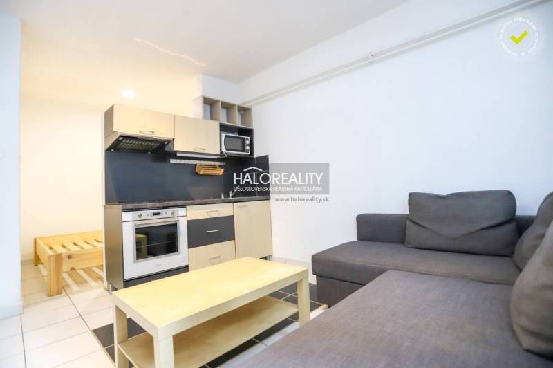 Living room in a studio apartment with a kitchen, sofa, and table.