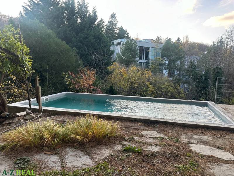 A garden with a pool surrounded by greenery in Bratislava - Old Town on Dolná Street.