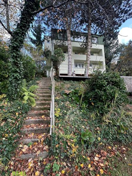 A house surrounded by greenery in Bratislava on Dolná Street with a staircase and tall trees.