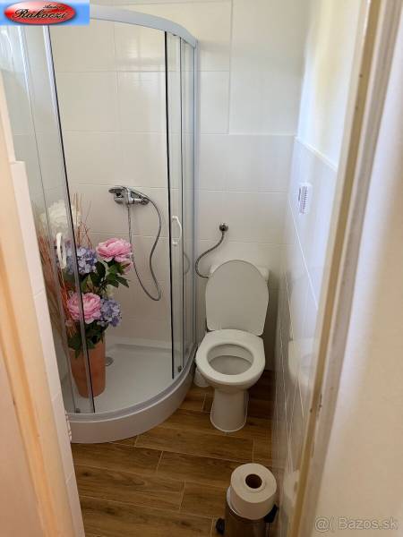 Bathroom with toilet, shower, and wooden decor flooring in commercial premises.