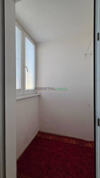 A small room with a red carpet and a window in a studio apartment.