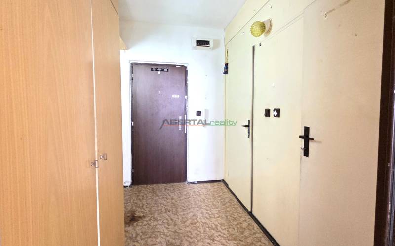 Entrance hallway in a one-room apartment with a wooden wardrobe and dark doors.