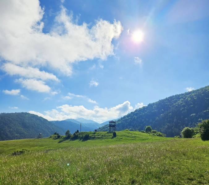 Sunny agricultural and forest lands in Necpaly with views of hills and a tower.