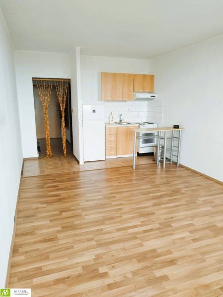 Studio apartment with a kitchenette and a wooden decor floor.