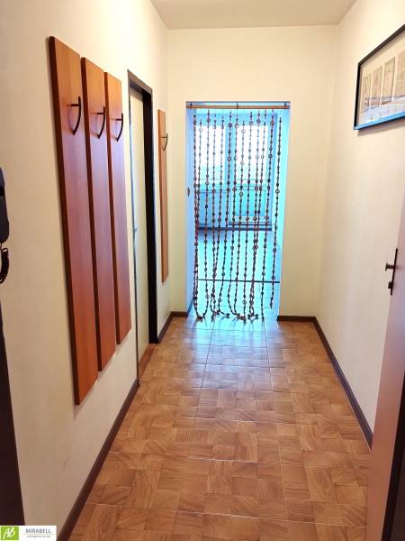 A hallway with a wooden decor floor, a curtain in a studio apartment, light, and a wall hanger.