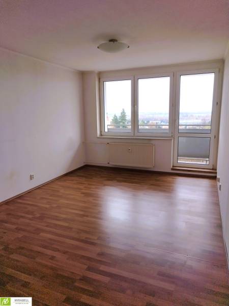 Studio apartment with large windows, wooden floor decor, and a view of the surroundings.