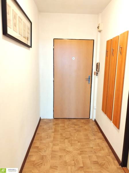 Hallway in a studio apartment with a wooden decor floor, coat hooks, and entrance door.