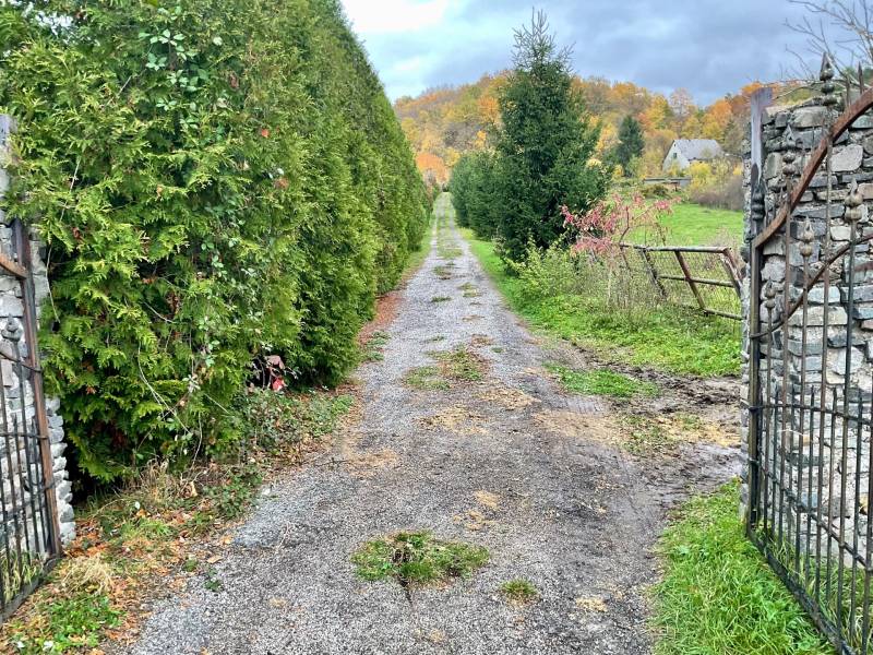Gravel road surrounded by a hedge on Recreational Lands in Čereňany - Fančová.