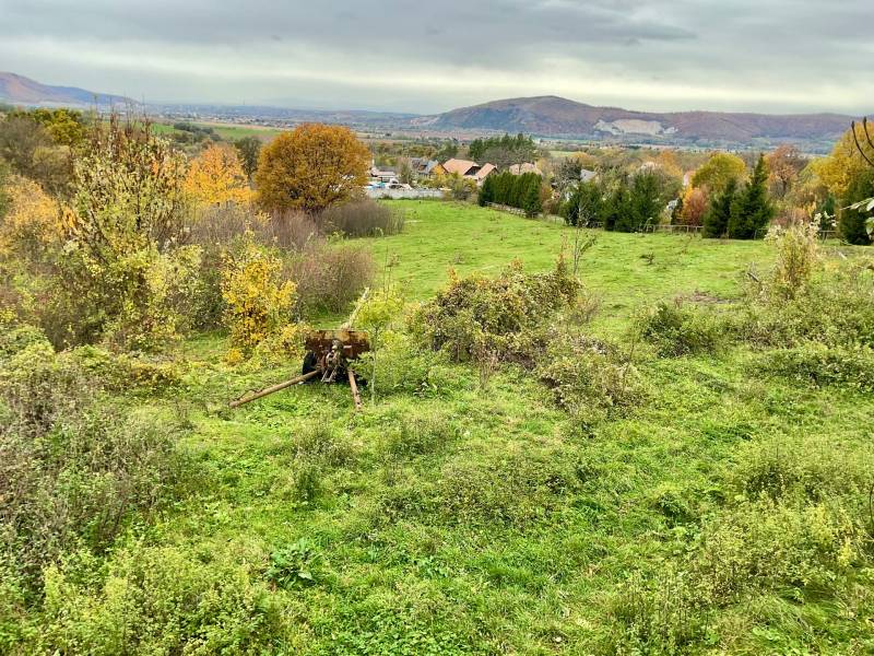 Greenery and trees on Recreational Land in Čereňany on Čereňany - Fančová Street.