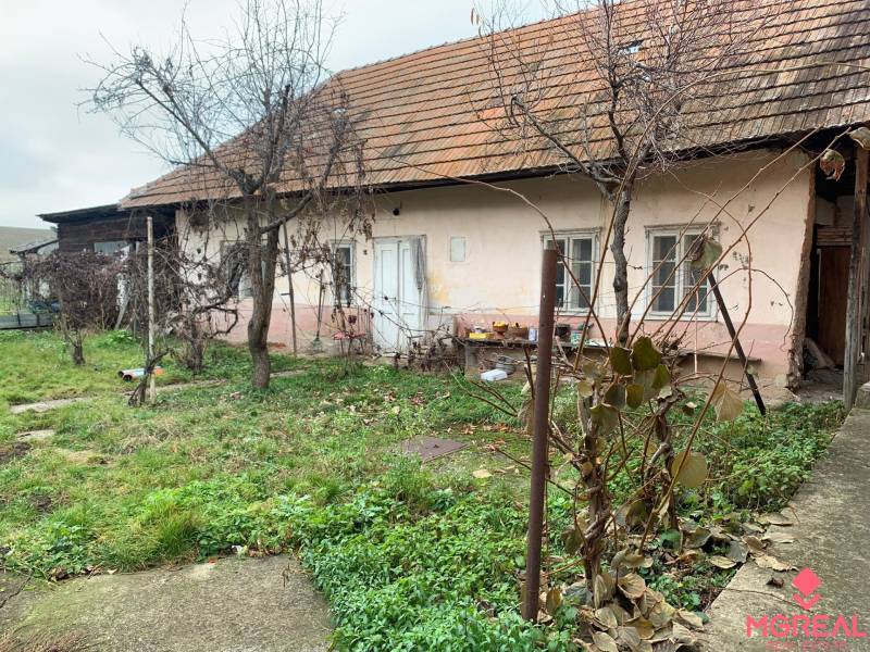 A family house in Lúčnica nad Žitavou with two windows, a terrace, and a garden in the autumn season.