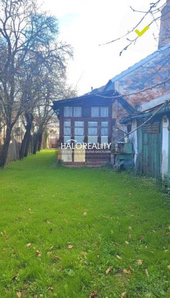 A garden at a family house in Rimavská Sobota with shady trees and grassy vegetation.