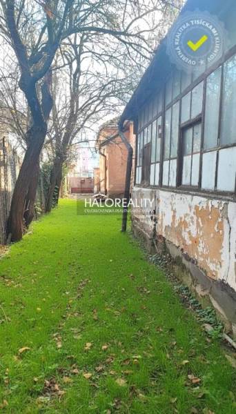 A garden at a family house in Rimavská Sobota with a lawn and older trees.