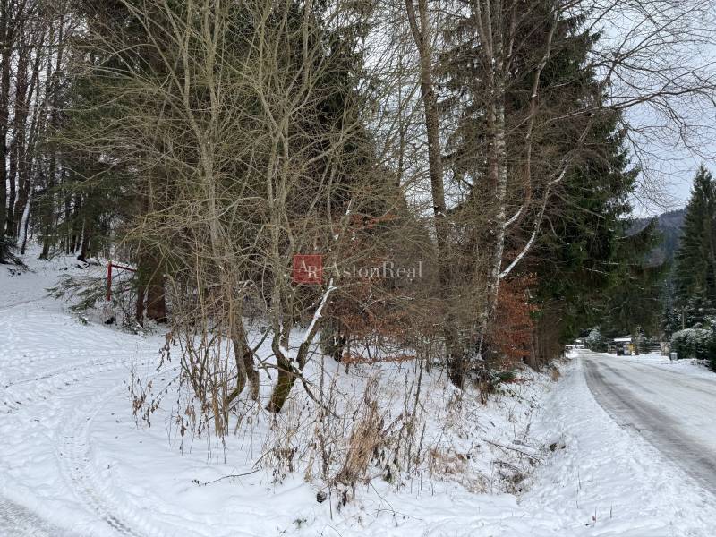 Snow-covered trees by the road on recreational grounds in Čertov, Lazy pod Makytou.