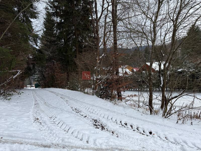 Snow-covered recreational plots in the Čertov area near the village of Lazy pod Makytou.
