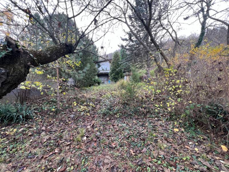 A garden with a cottage on Pod Srdcom Street, Bratislava - Devínska Nová Ves surrounded by trees.