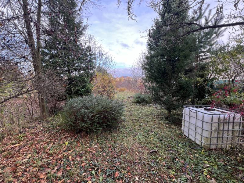 Garden at the cottage in Bratislava - Devínska Nová Ves on Pod Srdcom with conifers.