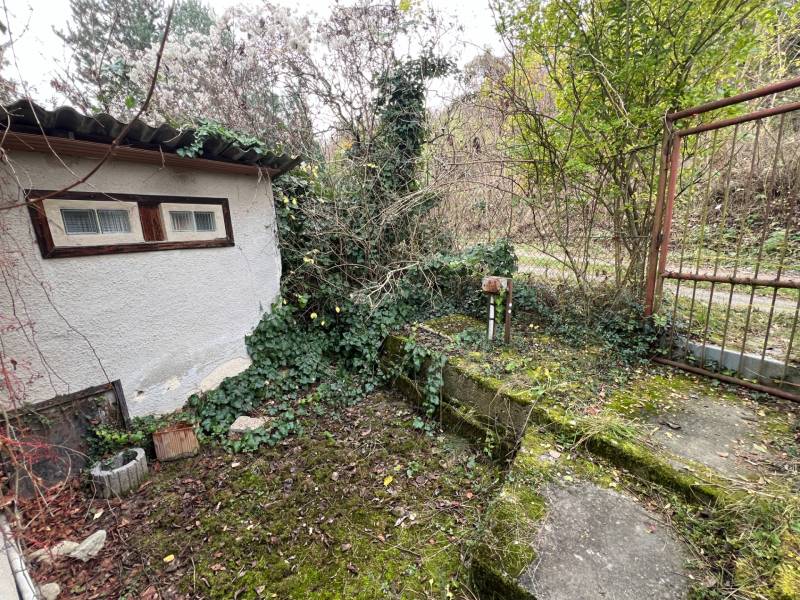 The exterior of the cottage on Pod Srdcom Street in Bratislava - Devínska Nová Ves overgrown with ivy.