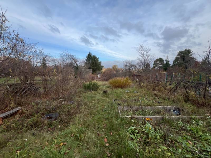 Overgrown garden near a cottage in Bratislava - Devínska Nová Ves on Pod Srdcom Street.