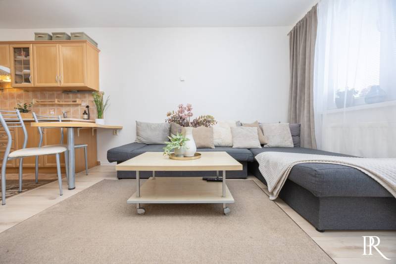 Living room in a two-room apartment with a sofa, table, and kitchenette.