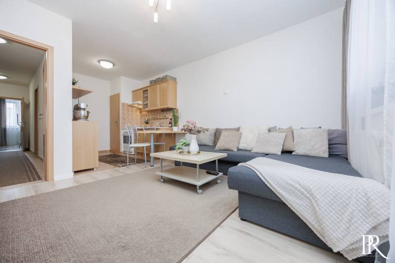 Living room in a two-room apartment with a sofa, carpet, and kitchenette.