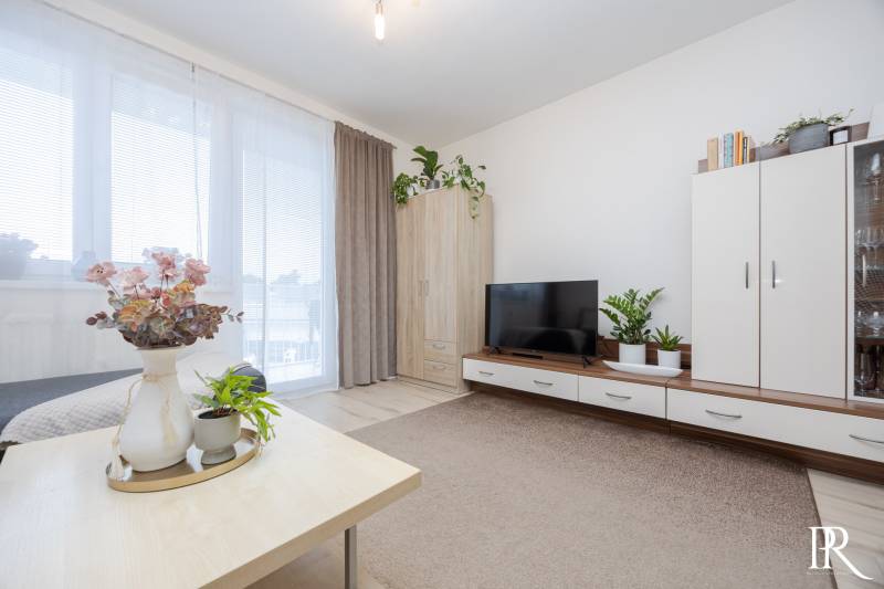 A bright living room in a two-room apartment with a wooden decor floor, decorations, and plants.