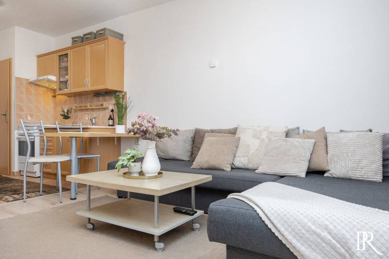 Living room in a 2-room apartment with a sofa, kitchenette, and a table with vases.