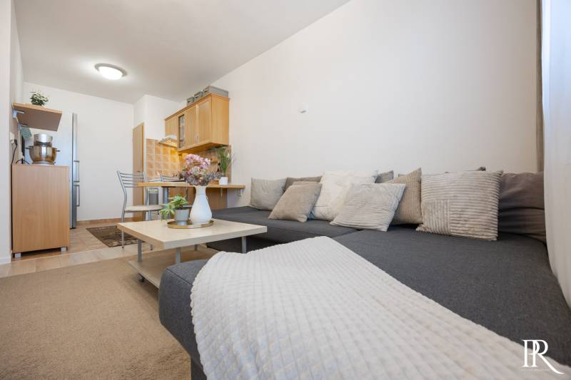 Living room of a two-room apartment with a sofa, dining table, and kitchen unit.