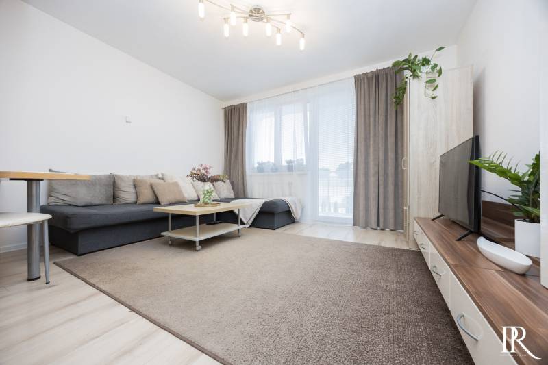 Living room in a two-room apartment with a sofa, coffee table, and TV.