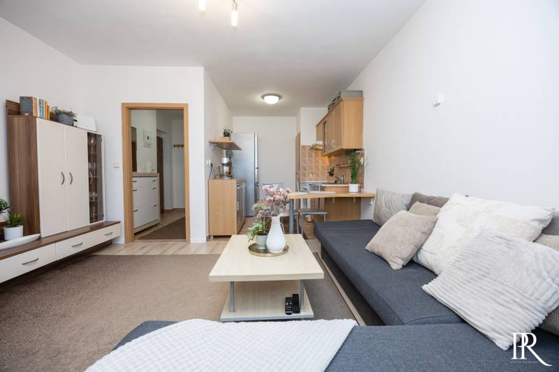 Living area connected with the kitchen in a 2-room apartment, comfortable sofa and wooden decor.