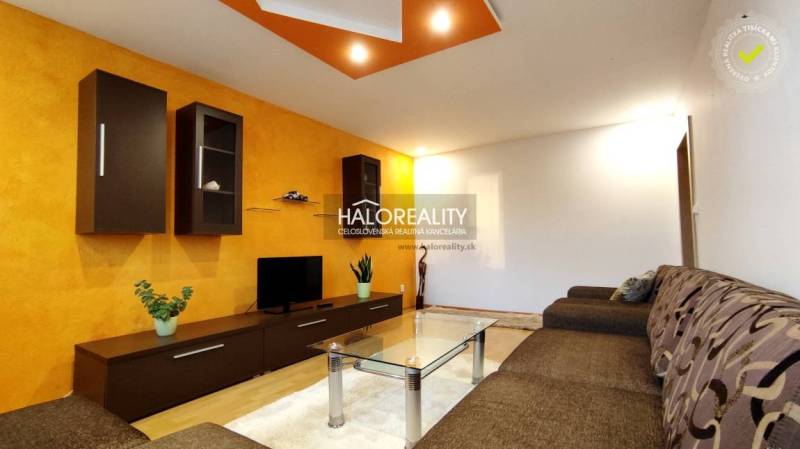 Living room with a sofa, glass table in a 2-room apartment, orange wall, shelves.