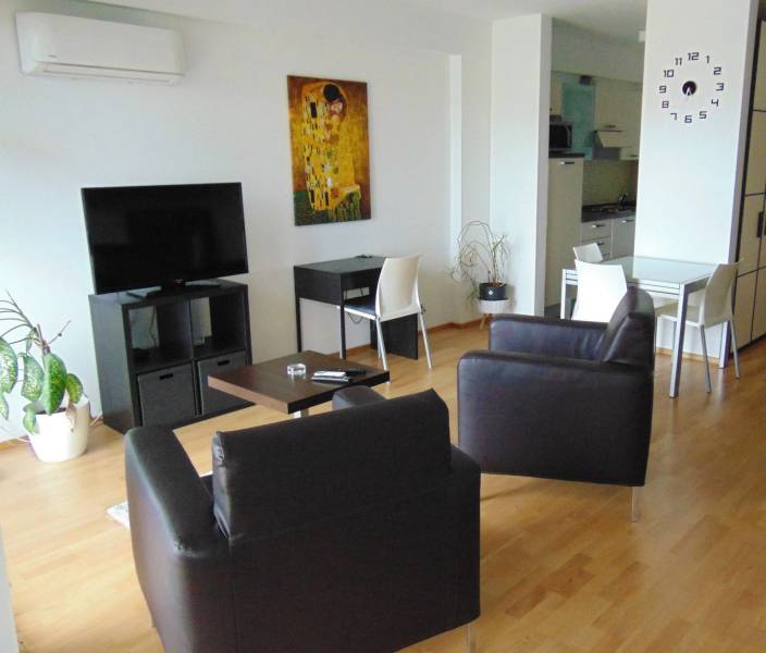Living room in a studio apartment with wood-patterned flooring, television, and armchairs.