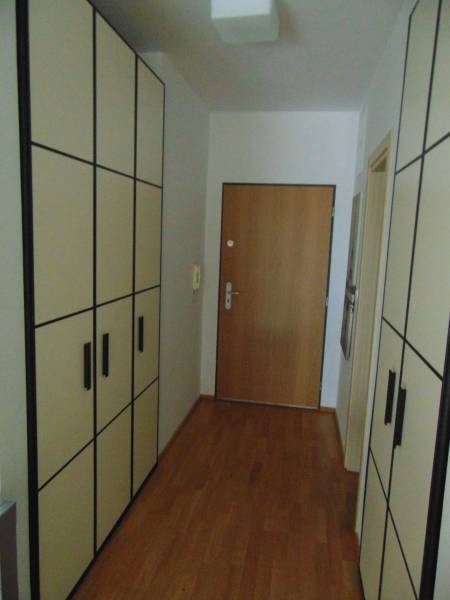 Hallway in a one-room apartment with a wooden decor floor and built-in wardrobes.