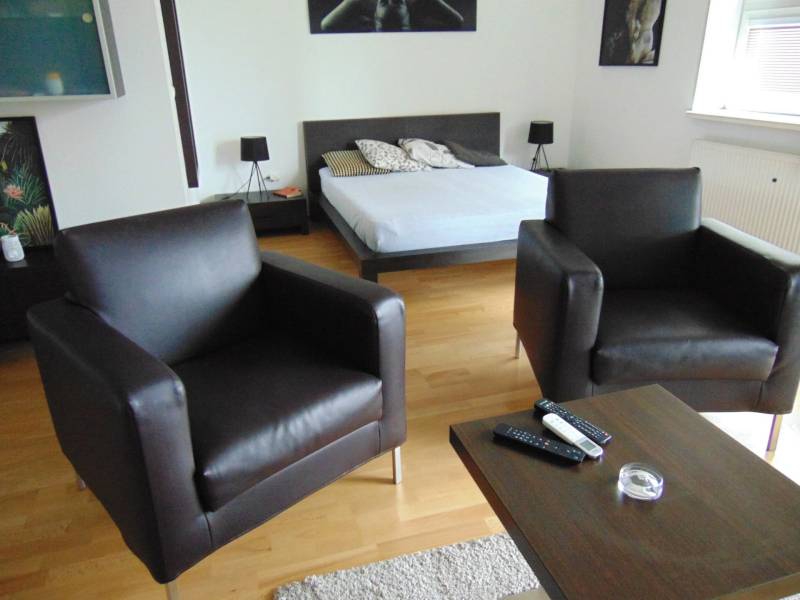 Interior of a 1-room apartment with sofas and a bed on a floor with wooden decor.