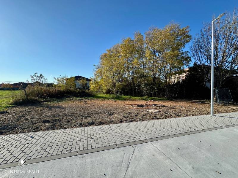 A residential plot in Malinovo, Malinovo with a paved walkway, surrounded by greenery and trees.