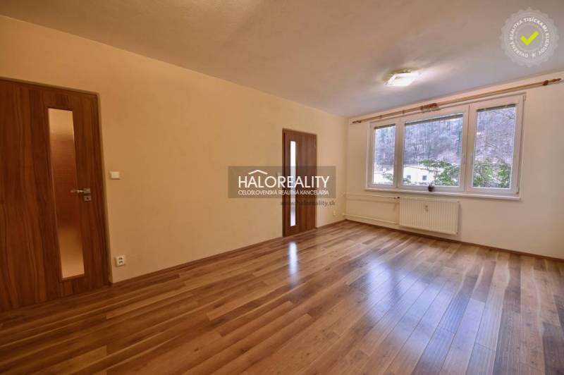 A bright room with a wood-patterned floor and a large window in a two-room apartment.