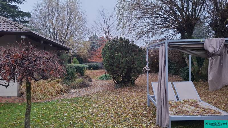 The garden of a family house in Bohdanovce nad Trnavou with leaves covered with deck chairs and lush greenery.