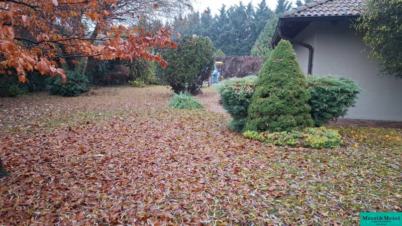 A garden at a family house in Bohdanovce nad Trnavou, covered with fallen autumn leaves.