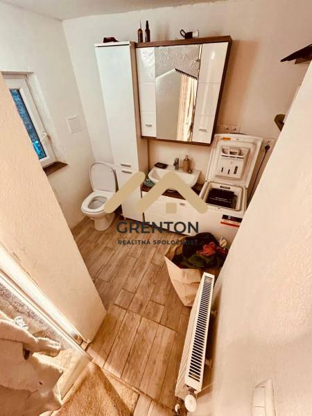 Bathroom with a mirror, washing machine, and wooden decor flooring in a cottage.