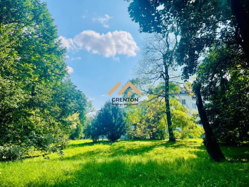 Greenery and trees around the cottage in Kučišdorská Valley in Pezinok.